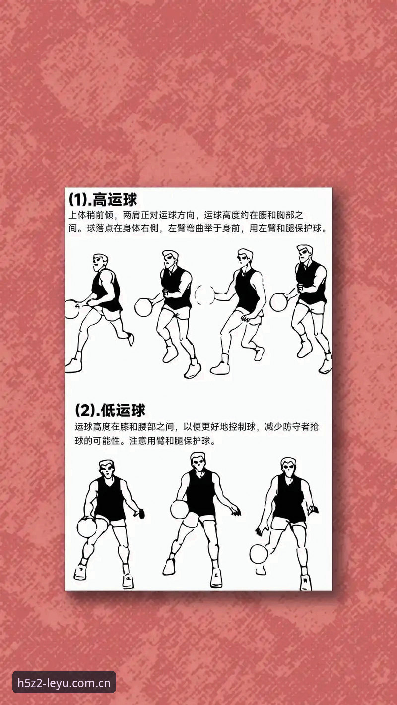 leyu官方体育平台功能详解 掌握leyu官方体育平台功能详解的实用指南:从新手到高手的必备知识